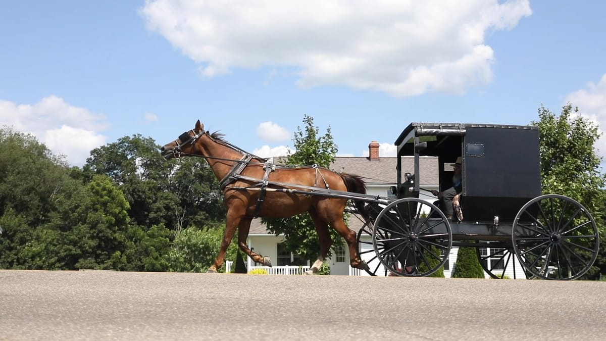 Amish horse and black buggy trotting past a white farmhouse in Holmes County, Ohio